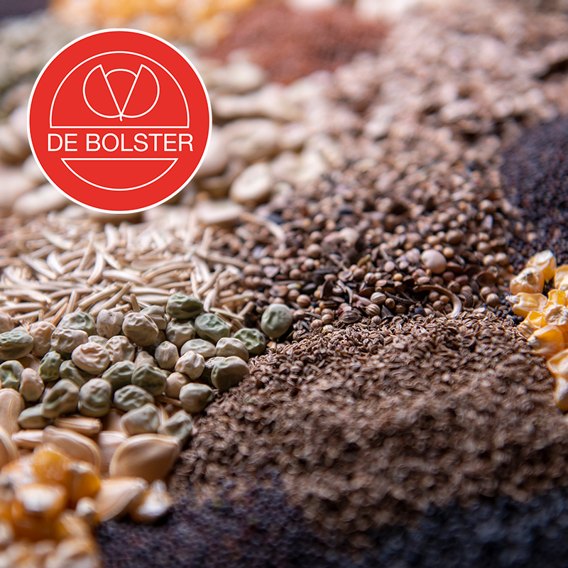 De Bolster Organic Seeds for Growers' Success