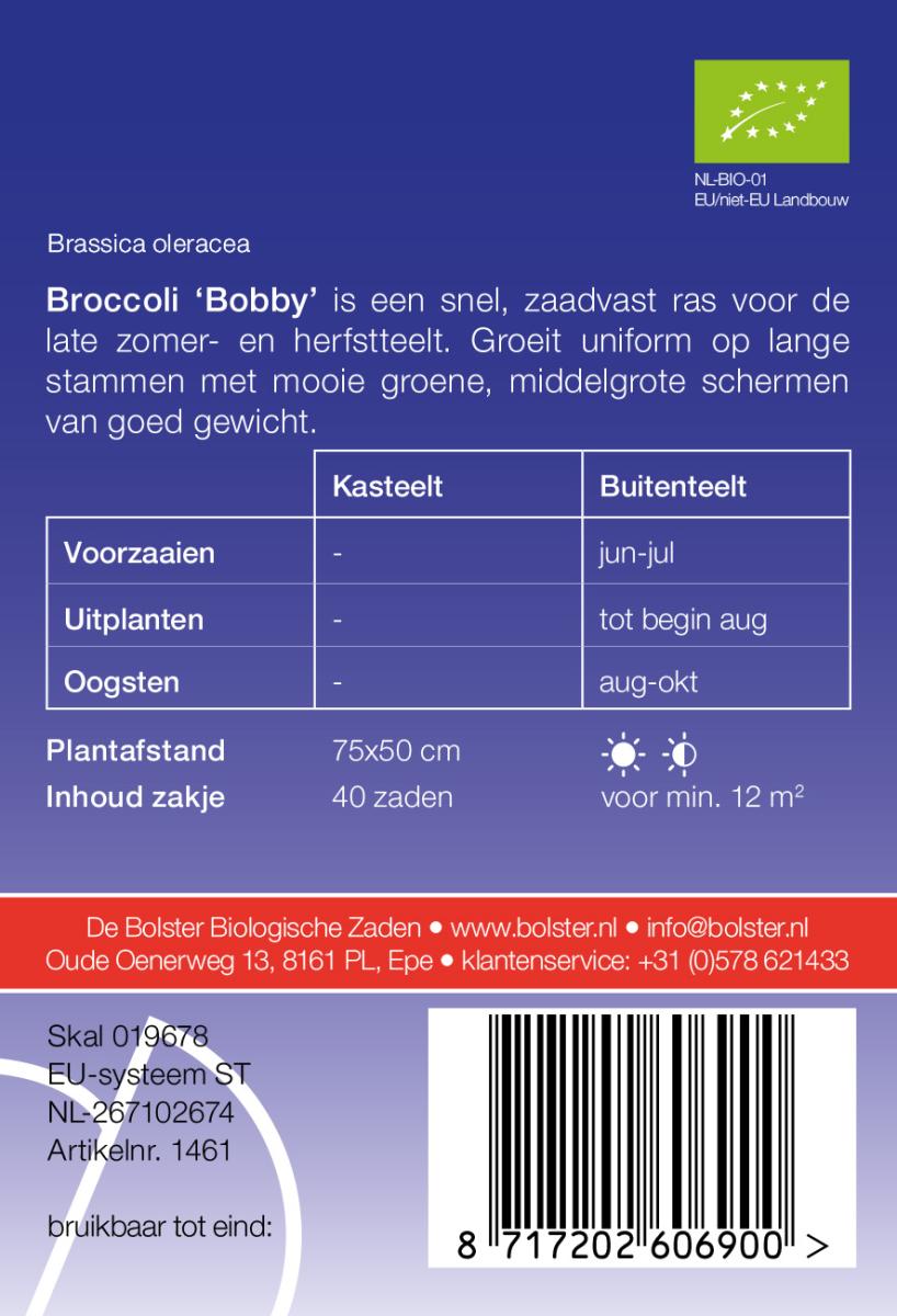 Broccoli Bobby – Brassica oleracea