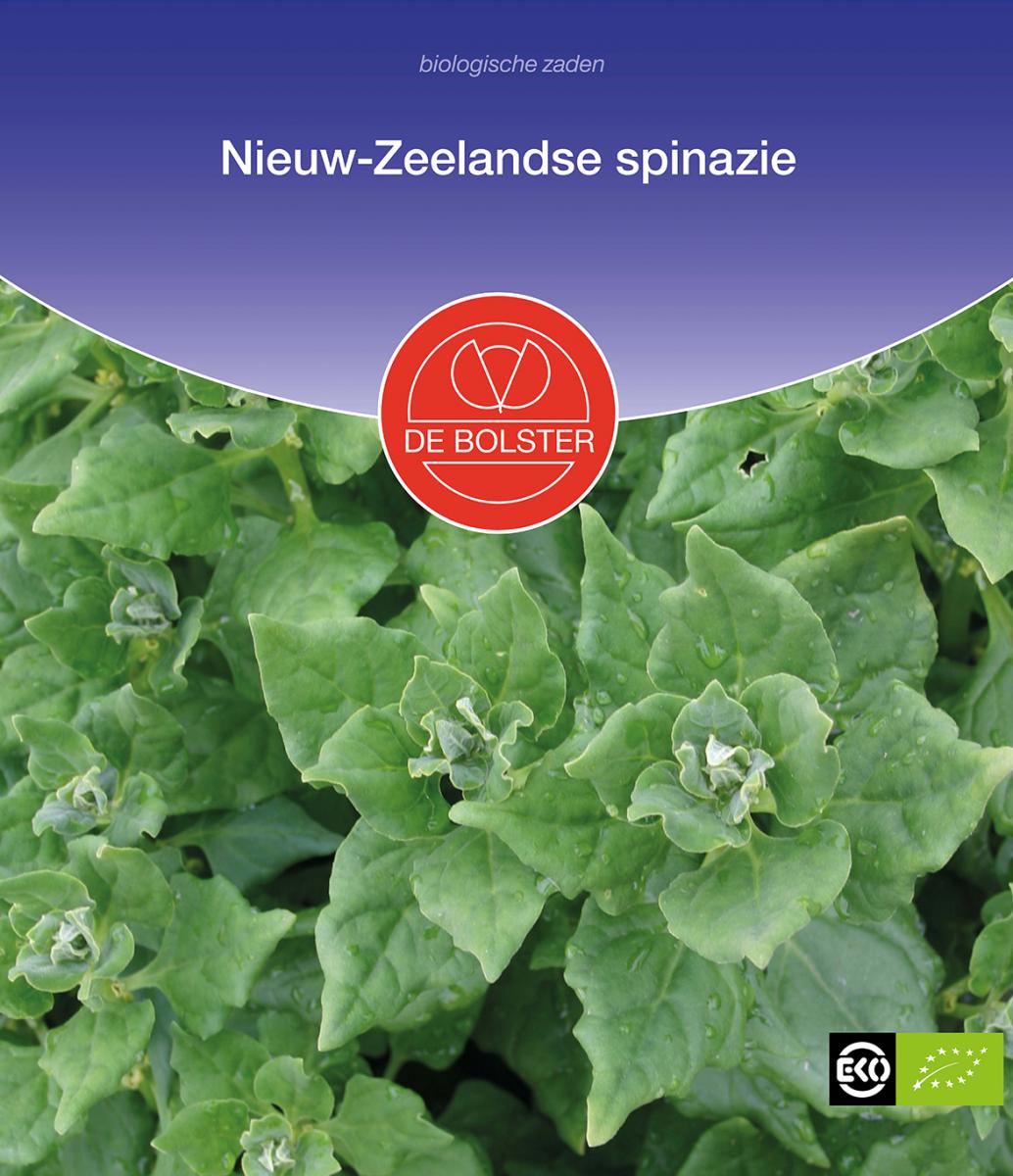 New Zealand Spinach – Tetragonia tetragonioides