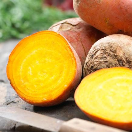 Gele biet Boldor - Beta vulgaris subsp. conditiva