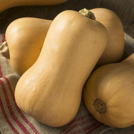 Flespompoen Butternut